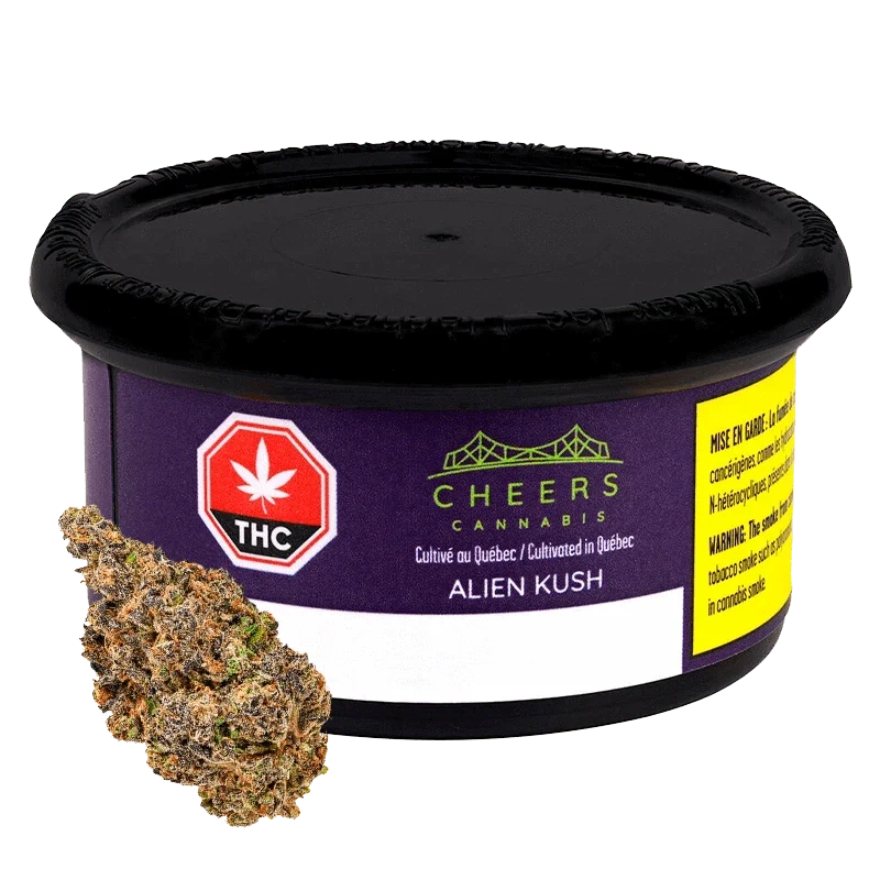 Alien Kush by Cheers Cannabis