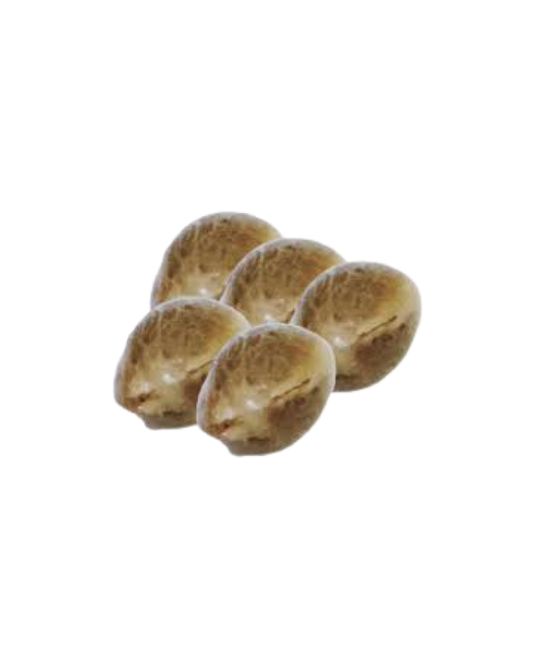 Frost Blue Cherry Pie Seeds - 5 Pack HomeGrow with Freedom