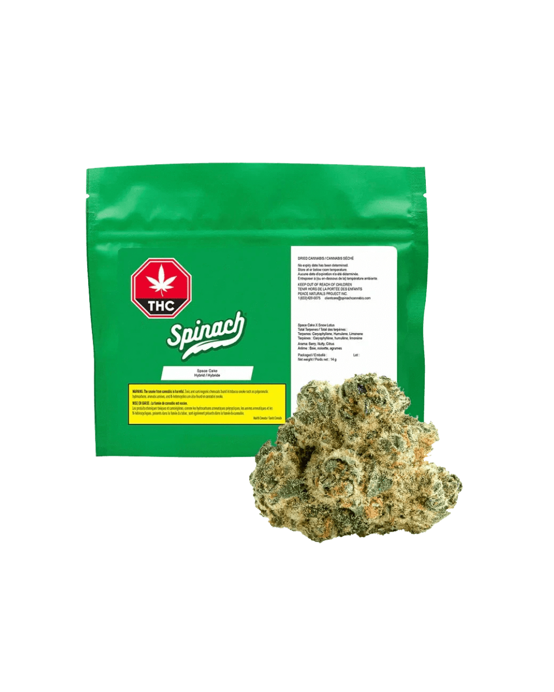 Space Cake By Spinach