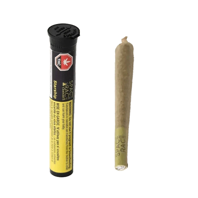 Starship by Space Race Cannabis