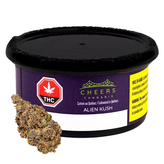 Alien Kush by Cheers Cannabis