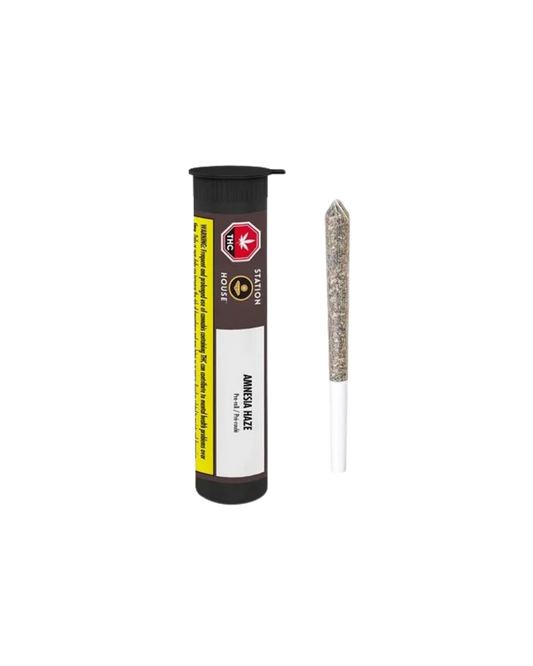Amnesia Haze by Station House