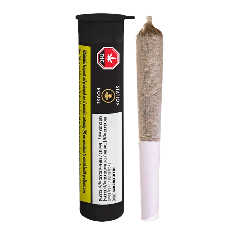 Blue Dream by Station House