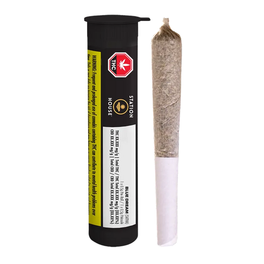 Blue Dream by Station House