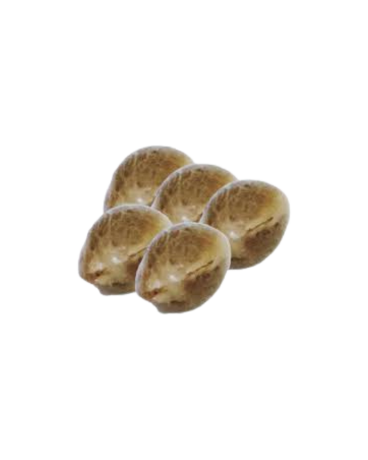 Frost Blue Cherry Pie Seeds - 5 Pack HomeGrow with Freedom