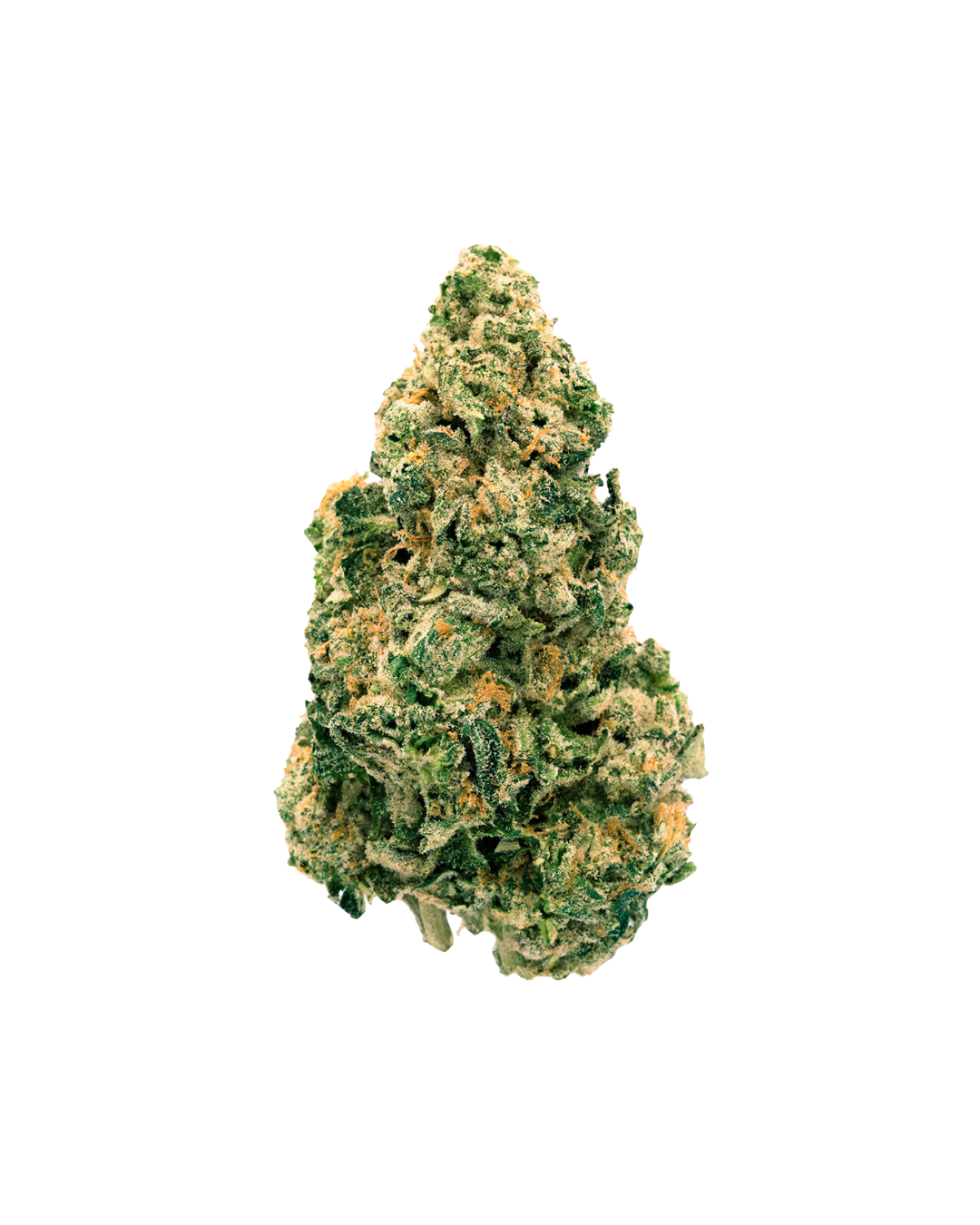 Galactic Jack by Back Forty