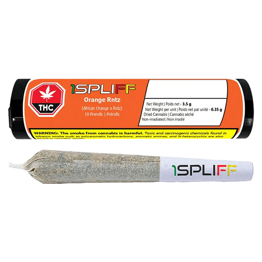 Slimz Orange Rntz By 1Spliff