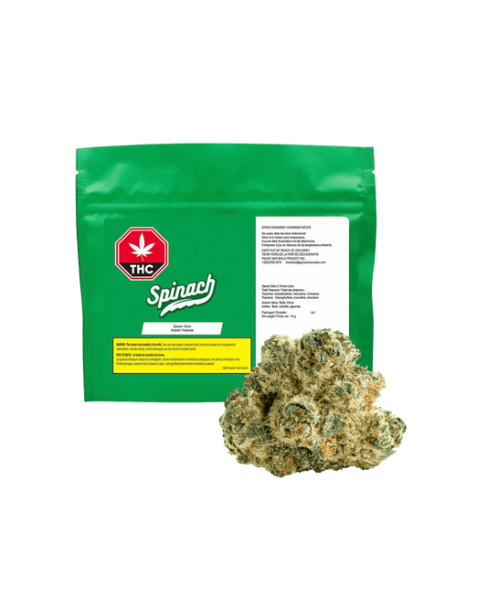 Space Cake By Spinach