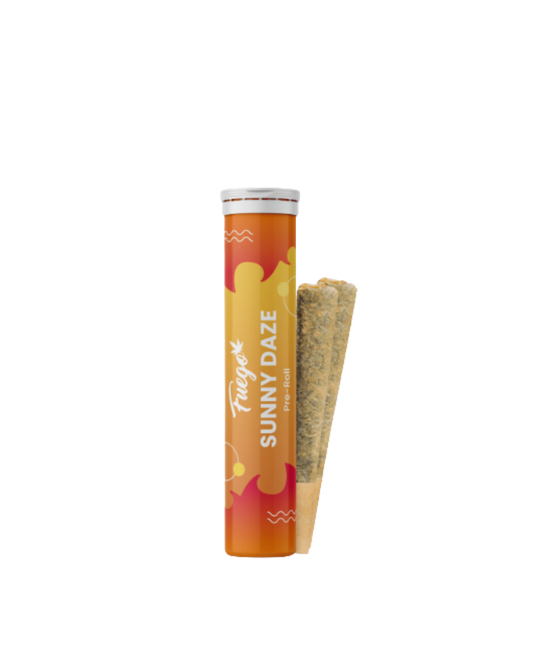 Sunny Daze by Fuego
